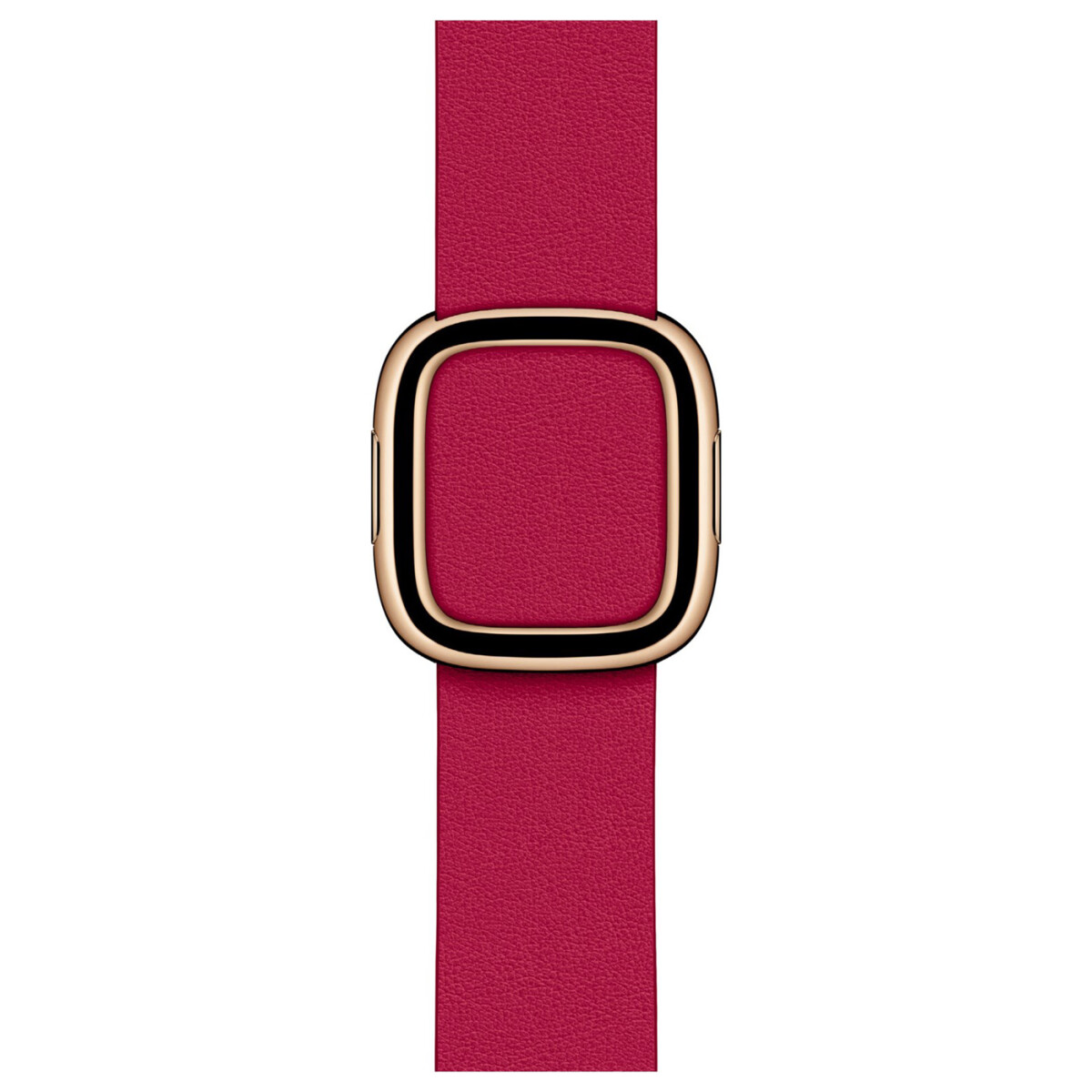 Apple Modern Buckle 38/40/41 mm Raspberry L (Spring/2020) LARGE - Apple Watch Armband (MXPC2AM/A)