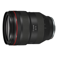 Canon RF 28-70mm f2 L USM gallery