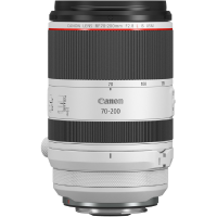 Canon RF 70-200mm f2.8 L IS USM gallery