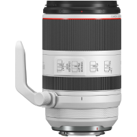 Canon RF 70-200mm f2.8 L IS USM 3