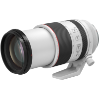 Canon RF 70-200mm f2.8 L IS USM 4