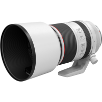 Canon RF 70-200mm f2.8 L IS USM 5