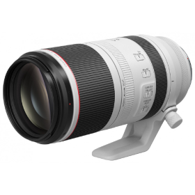 Canon RF 100-500mm f4.5-7.1 L IS USM