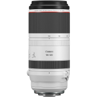 Canon RF 100-500mm f4.5-7.1 L IS USM gallery