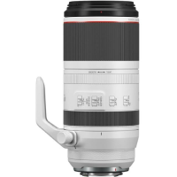 Canon RF 100-500mm f4.5-7.1 L IS USM 4