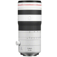 Canon RF 70-200 mm f2.8 L IS USM Z wei&s gallery